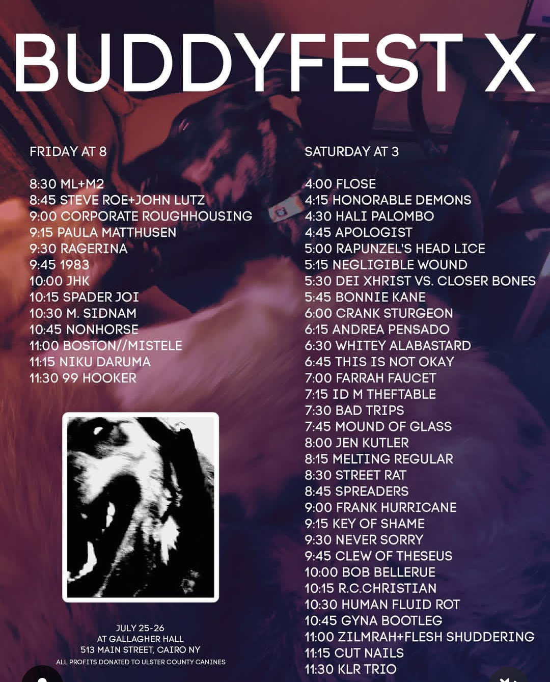 BuddyFest #10