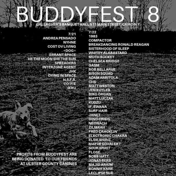 BuddyFest #8