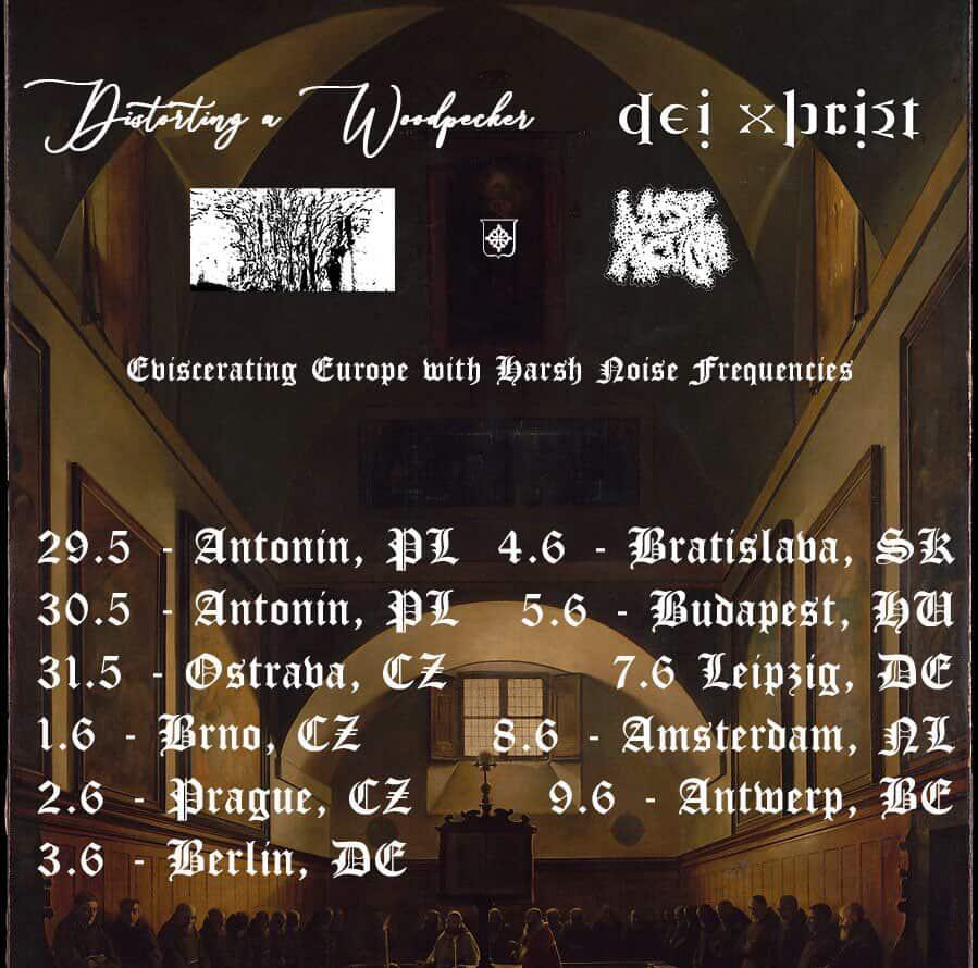 6/9 – 242Hz, Belgium